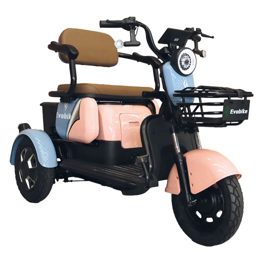 EVOBIKE FAMILY 48V 20Ah