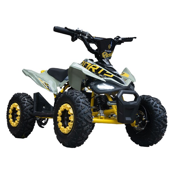 EVOBIKE RICOCHET