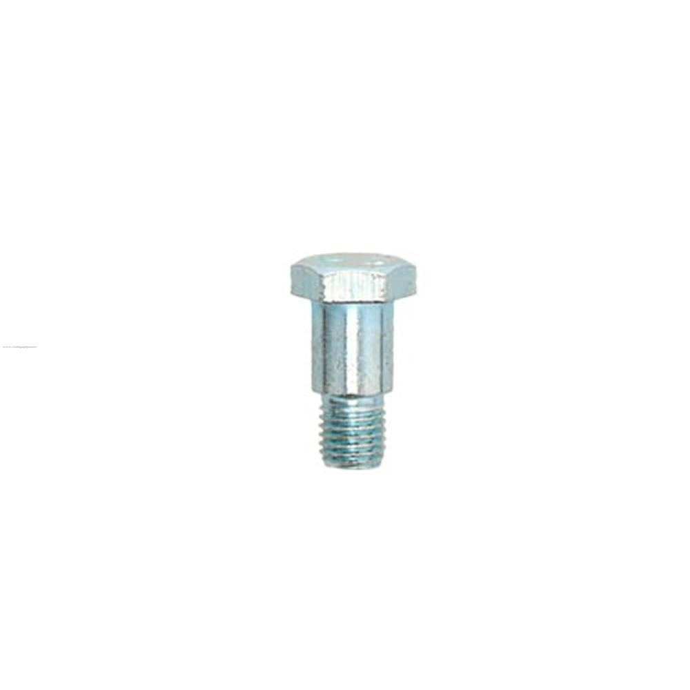 Tornillo Tripe Lateral P/ITALIKA DS125 CS125 LEDGS150/GTS175/TRN150/VITALIA150/WS150/PHANTOM 150 · Rialli