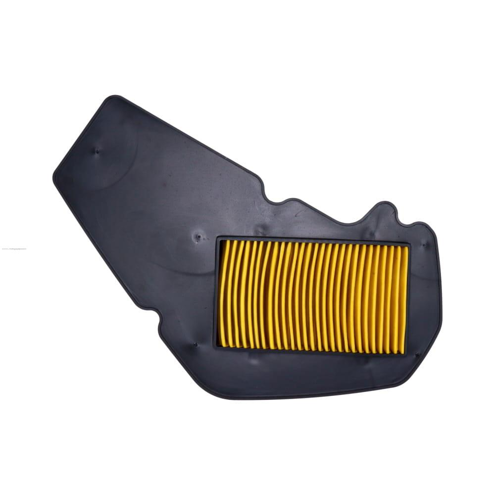 Elemento Filtro Aire PROMOTO Vento Terra X150