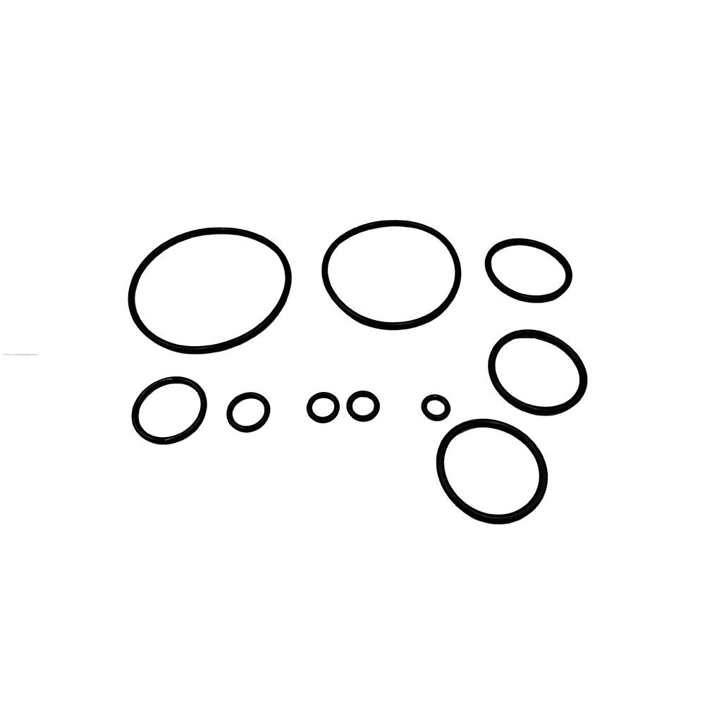 Arosello O-RING S para Motor PROMOTO Vento Nitrox 300 T3/CROSSMAX 300 Rally (JUEGO 10 PIEZAS)