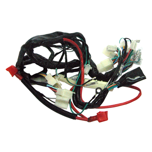 Alambrado Completo Arnes Italika FT125 RIALLI FT125 CLASICA/T125A/LX125-2