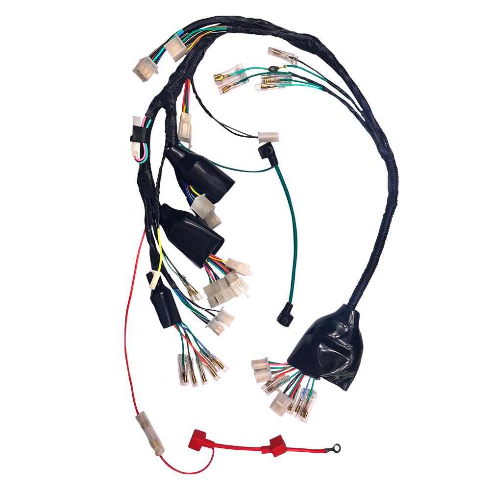 Alambrado Completo Arnes Italika FT150GTS/AZUL/DT150 Sport PROMOTO