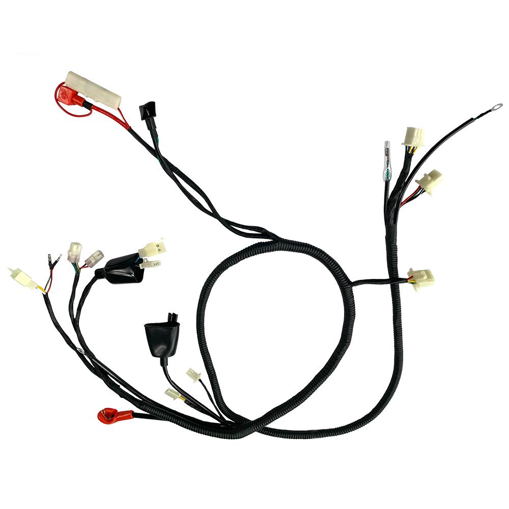 Alambrado Completo Arnes Italika DS150 PROMOTO /X150/XS150